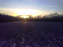 Działka rolno-budowlana Borowiny. Zdjęcie 2