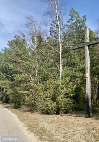 Działka leśna Biała Góra. Zdjęcie 1