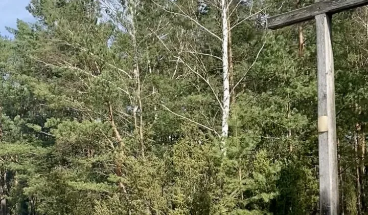 Działka leśna Biała Góra