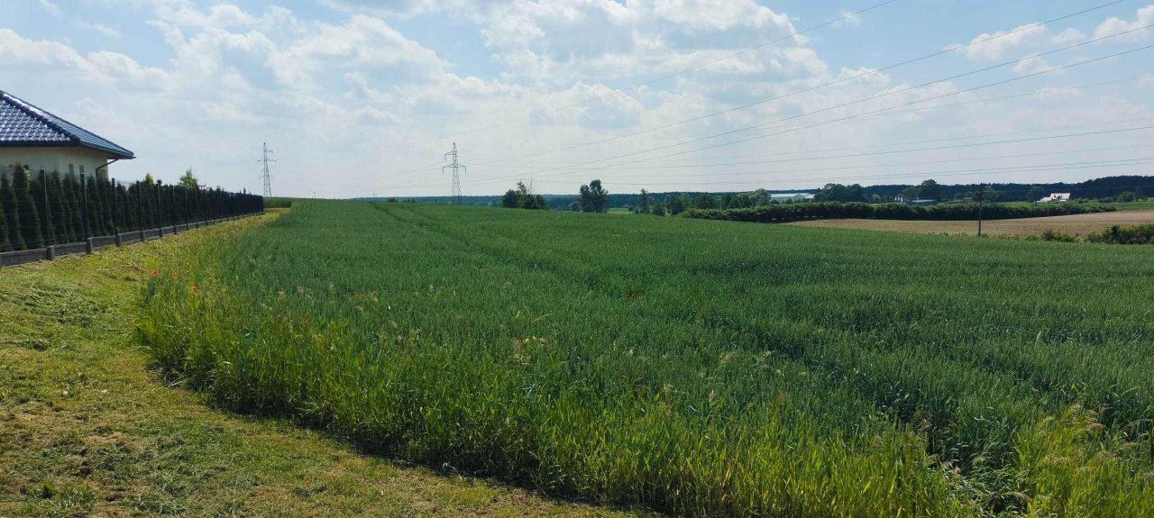 Działka rolna Radomek. Zdjęcie 4