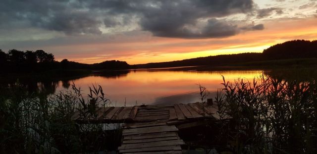 Działka rolna Barczewko. Zdjęcie 1