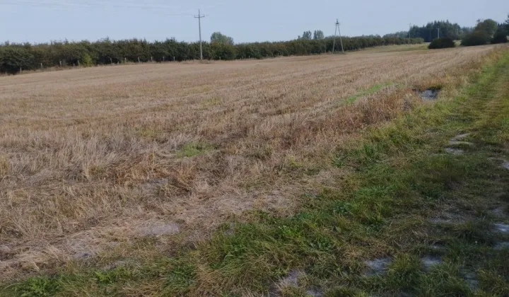 Działka rolno-budowlana Gotówka