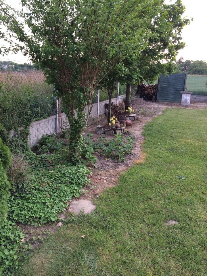 Działka rekreacyjna Trzebnica, ul. Prusicka. Zdjęcie 7