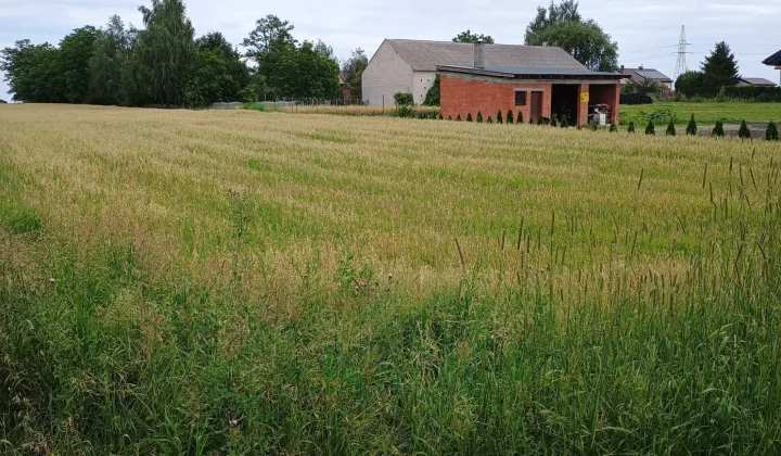 Działka rolno-budowlana Rychwał