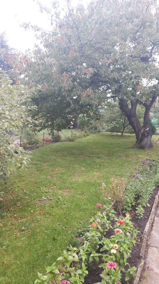 Działka rod Starogard Gdański. Zdjęcie 3