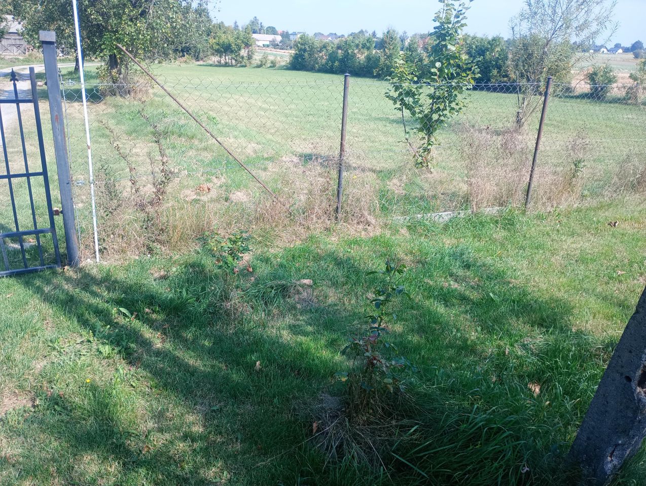 siedlisko, 3 pokoje Podzamcze. Zdjęcie 4