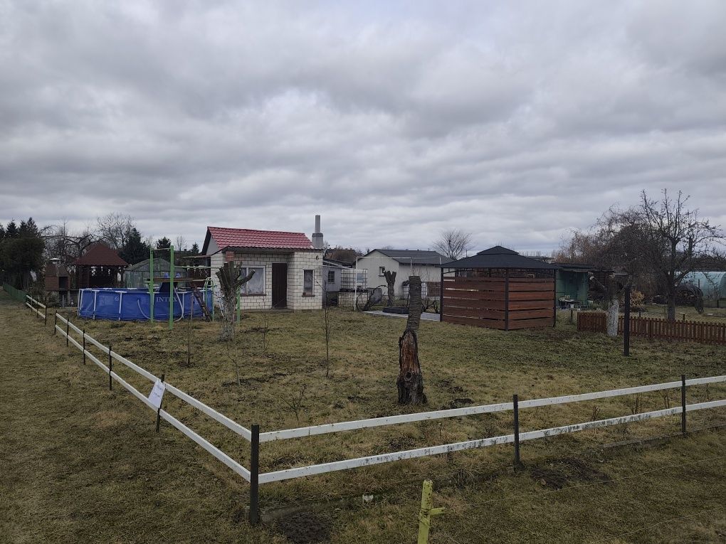 Działka rod Rogoźno, ul. Ogrodowa. Zdjęcie 1