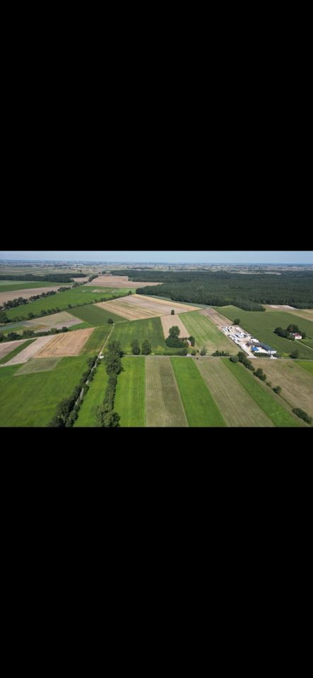 Działka budowlana Skotniki, Skotniki. Zdjęcie 2