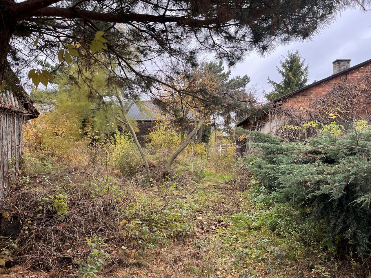 Działka rolno-budowlana Próchna. Zdjęcie 12