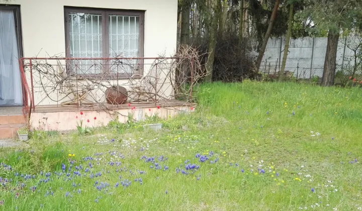 Działka rod Warszawa Wawer, Śnieguliczki