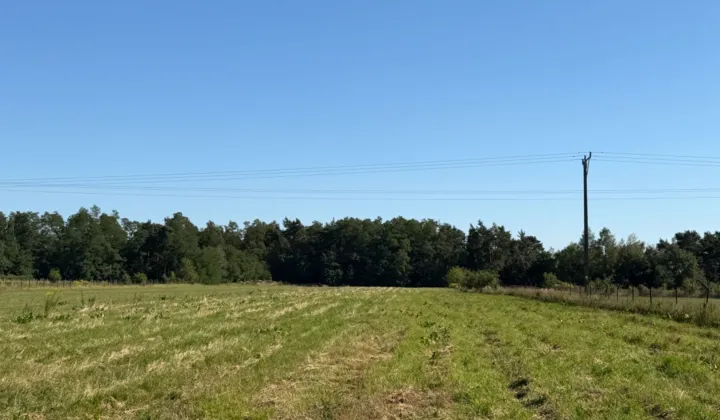 Działka budowlana Nowe Miasto nad Pilicą, ul. Tomaszowska