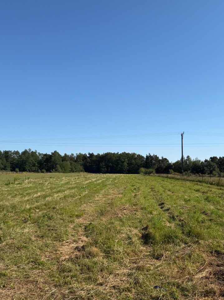 Działka budowlana Nowe Miasto nad Pilicą, ul. Tomaszowska. Zdjęcie 1