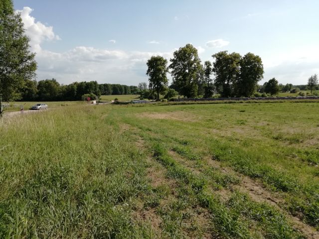 Działka rolno-budowlana Stare Guty. Zdjęcie 1