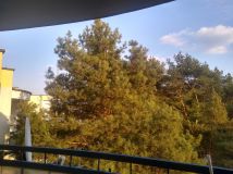 Mieszkanie 2-pokojowe Toruń Na Skarpie, ul. Konstytucji 3 Maja. Zdjęcie 1