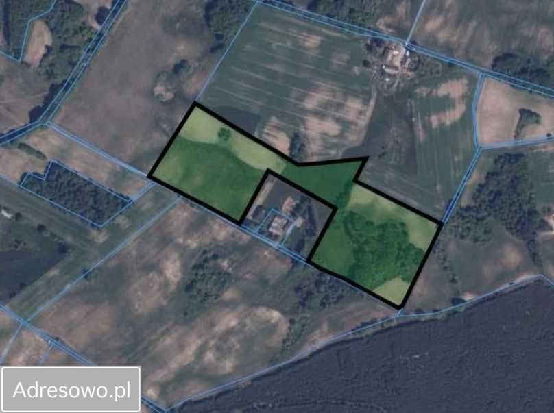 Działka rolna Śmilcz. Zdjęcie 6