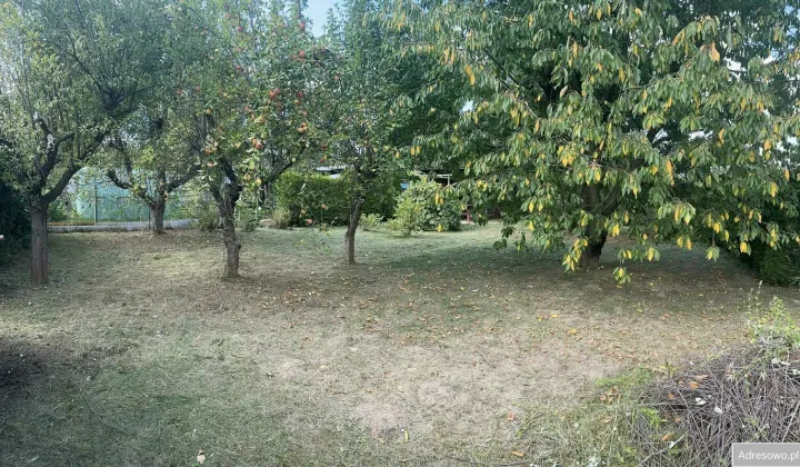 Działka rod Kraków, ul. Mistrzejowicka