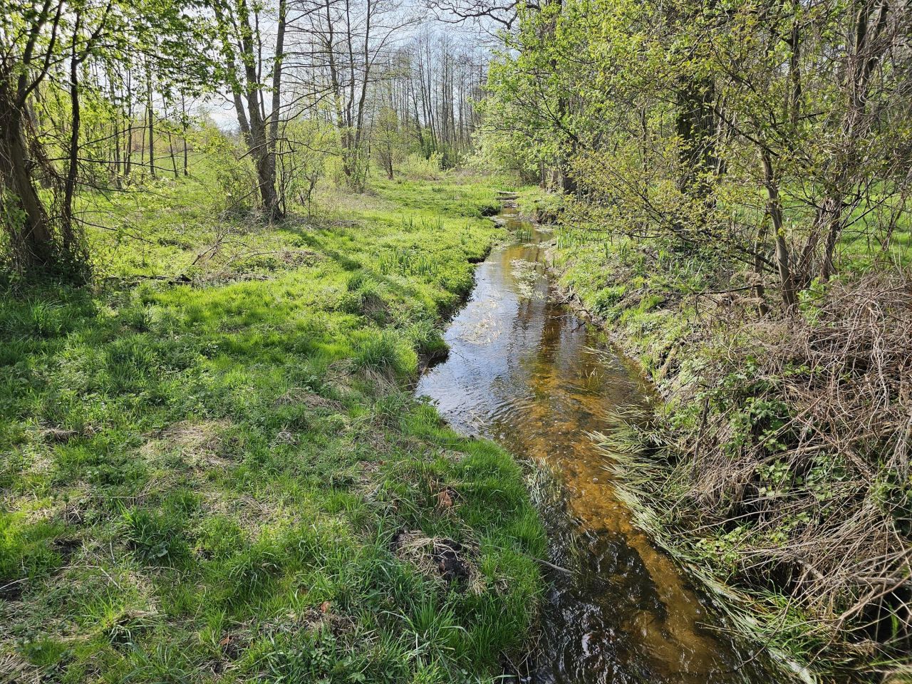 Działka budowlana Bartoszówka, ul. Strażacka. Zdjęcie 13