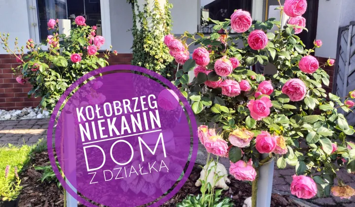 budynek wielorodzinny, 3 pokoje Niekanin, ul. Radosna