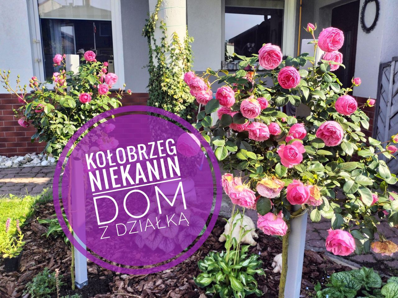 budynek wielorodzinny, 3 pokoje Niekanin, ul. Radosna. Zdjęcie 1