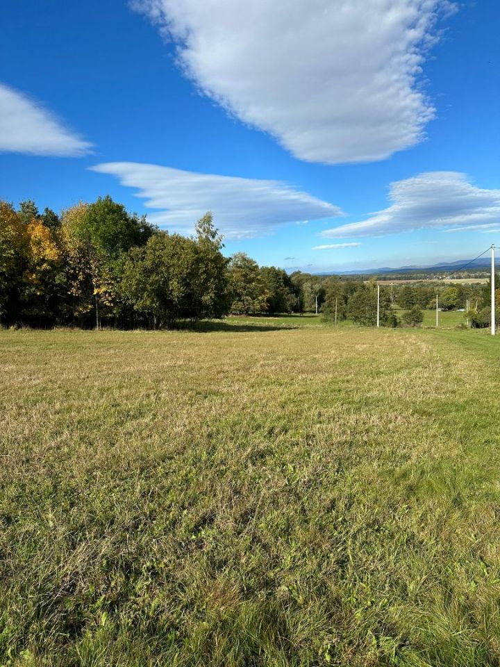 Działka rolno-budowlana Szczawina. Zdjęcie 3