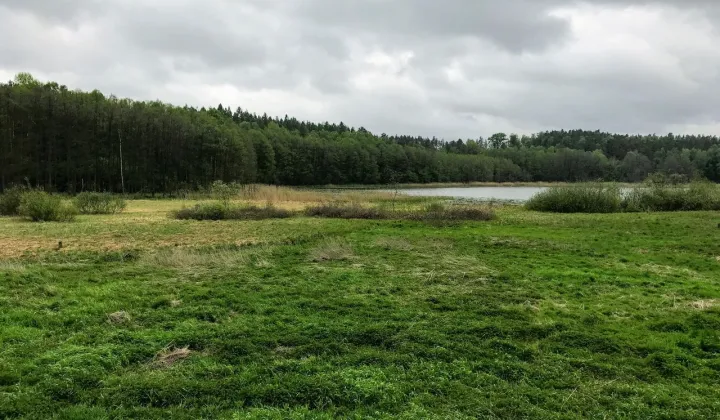 Działka budowlana Bolejny