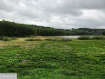 Działka budowlana Bolejny