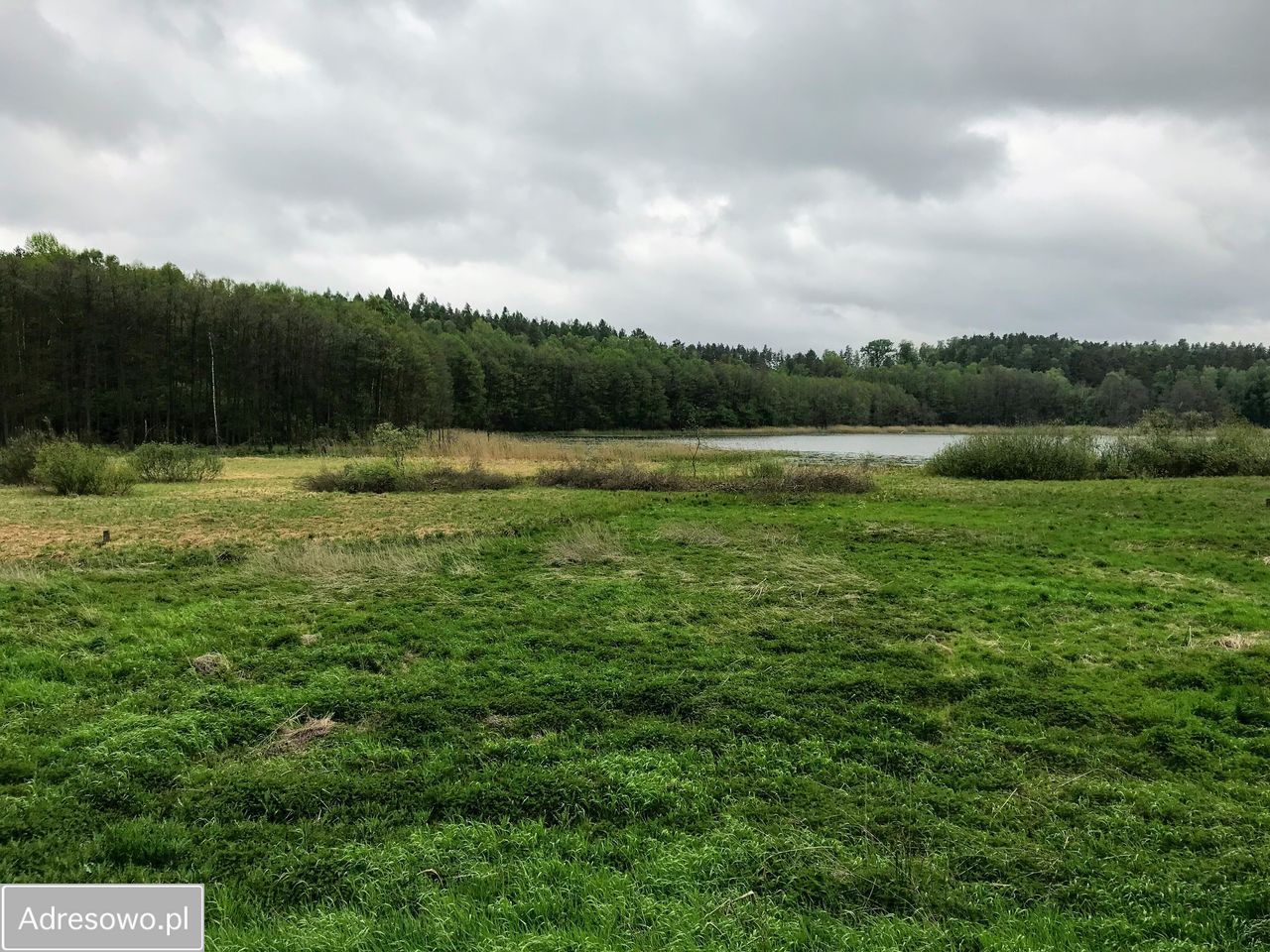 Działka budowlana Bolejny