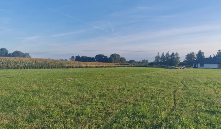 Działka budowlana Owczary, ul. Pęczelicka