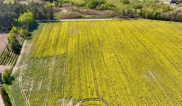 Działka budowlana Skrzynki
