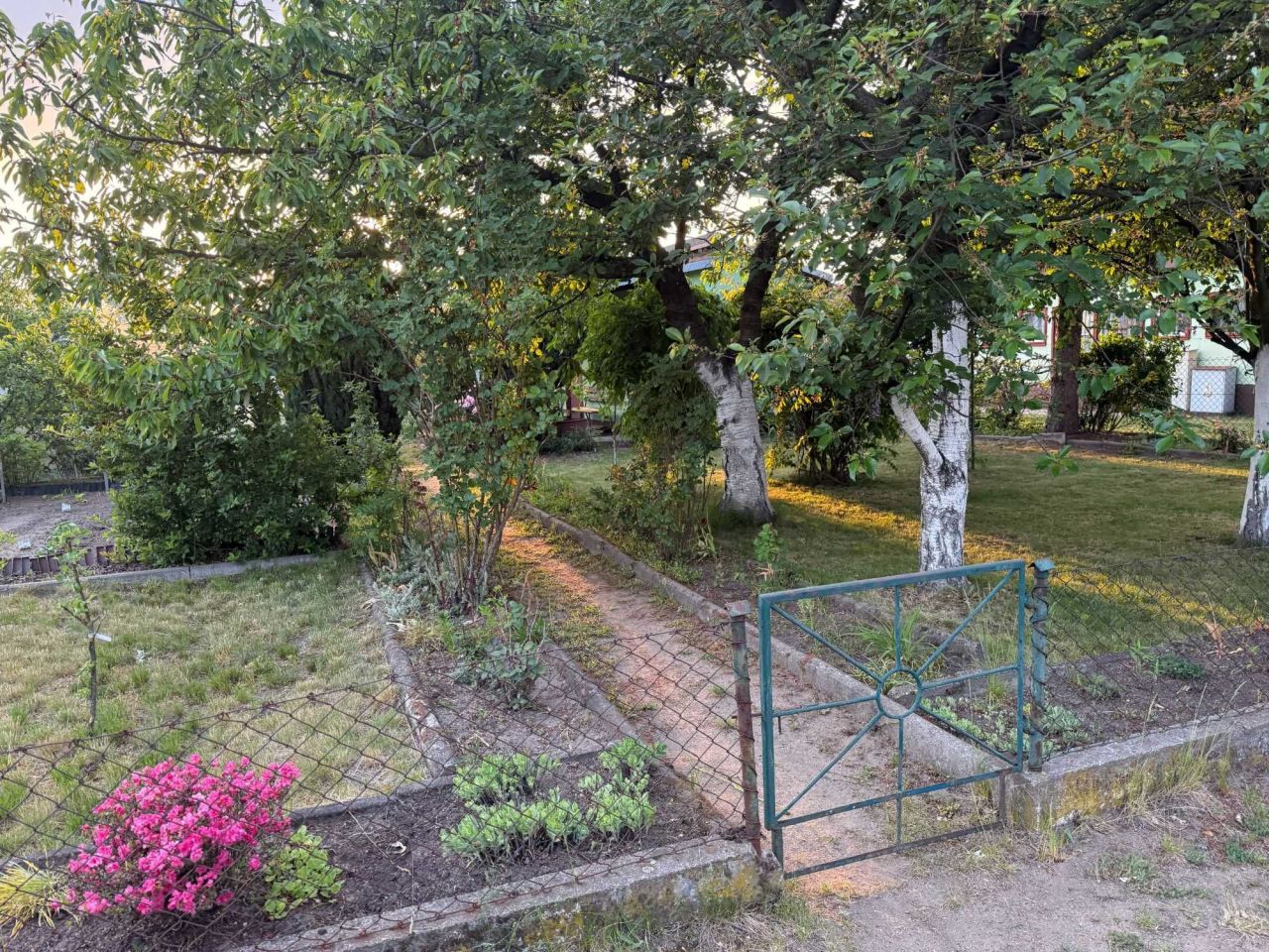 Działka rod Żary. Zdjęcie 2