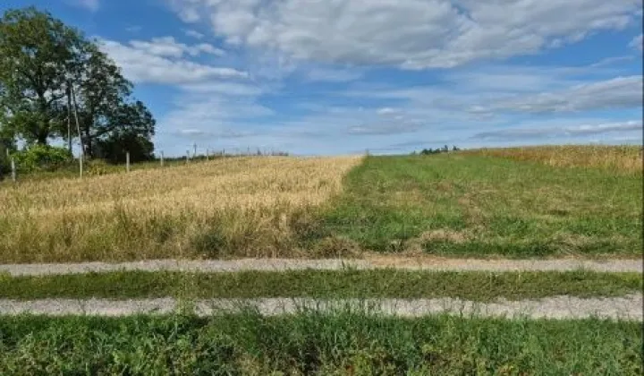Działka rolna Hyżne