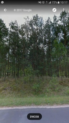 Działka leśna Osiek nad Wisłą. Zdjęcie 1