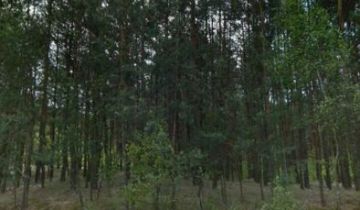 Działka leśna Osiek nad Wisłą