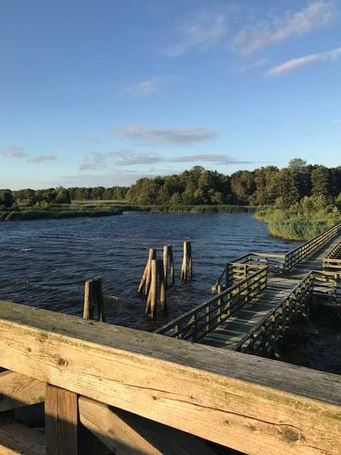 Działka budowlana Izbica. Zdjęcie 8