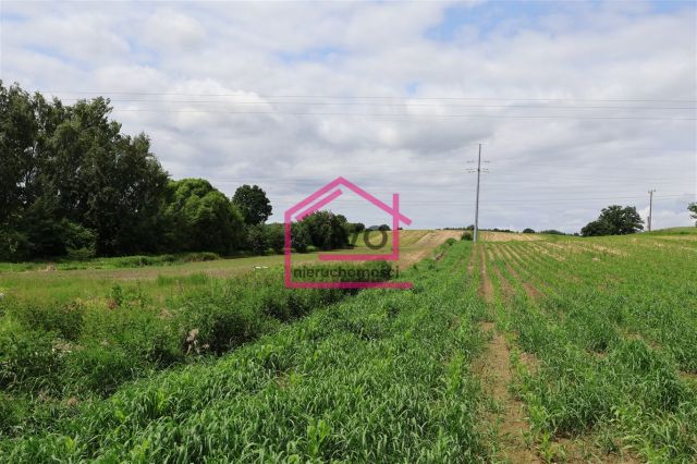 Działka budowlana Jastrzębie-Zdrój Bzie Górne. Zdjęcie 4