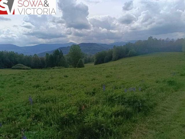 Działka rolna Głębock. Zdjęcie 10
