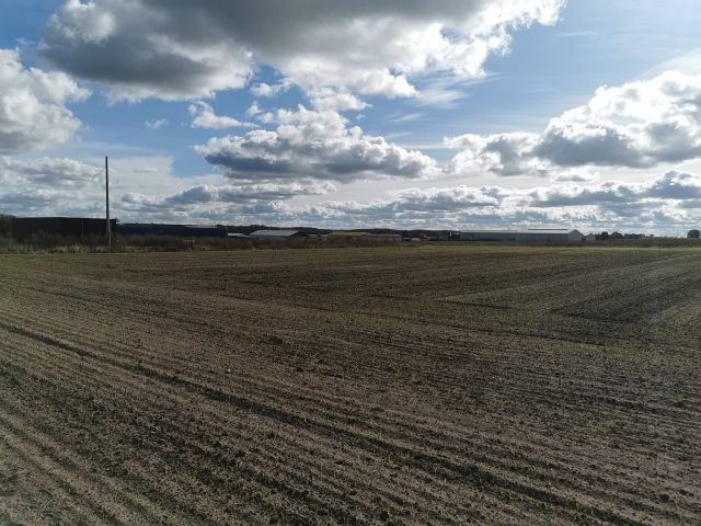 Działka inwestycyjna Blękwit. Zdjęcie 13