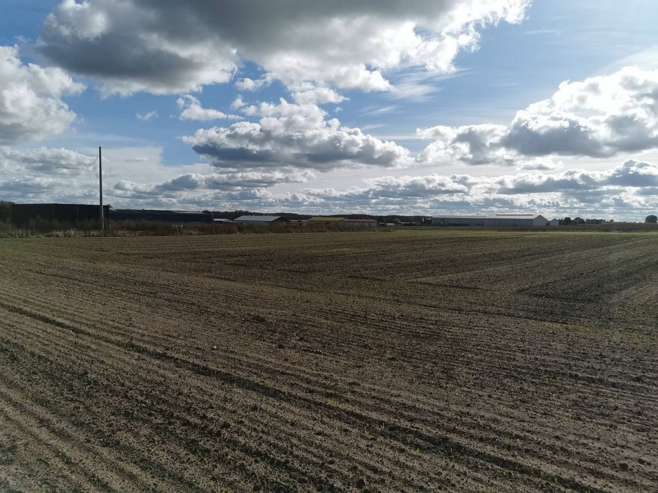 Działka inwestycyjna Blękwit. Zdjęcie 13