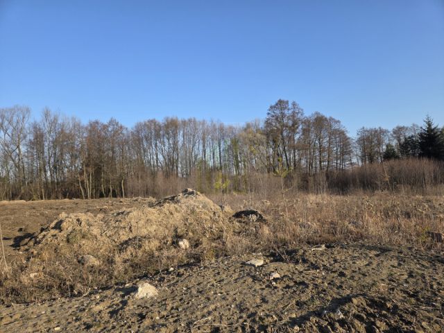 Działka budowlana Zboiska. Zdjęcie 3