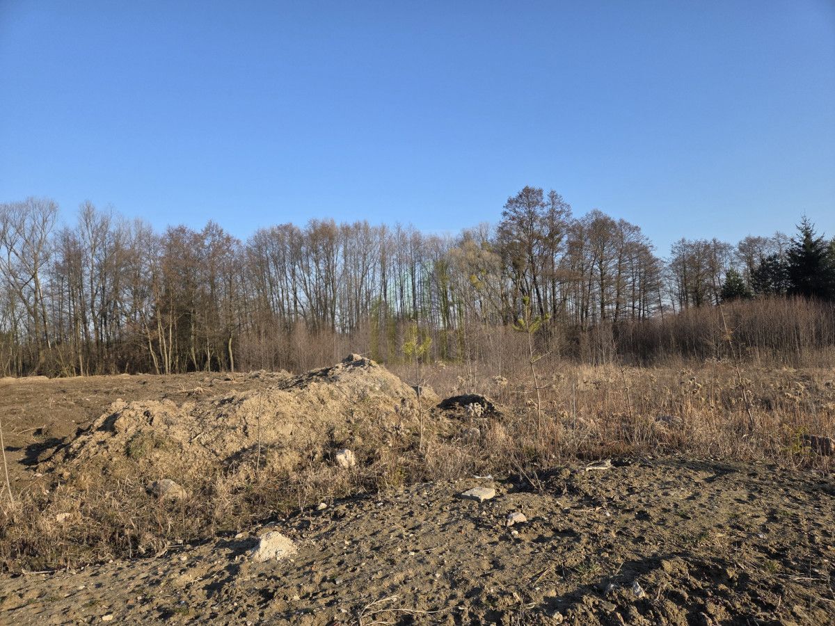 Działka budowlana Zboiska. Zdjęcie 3