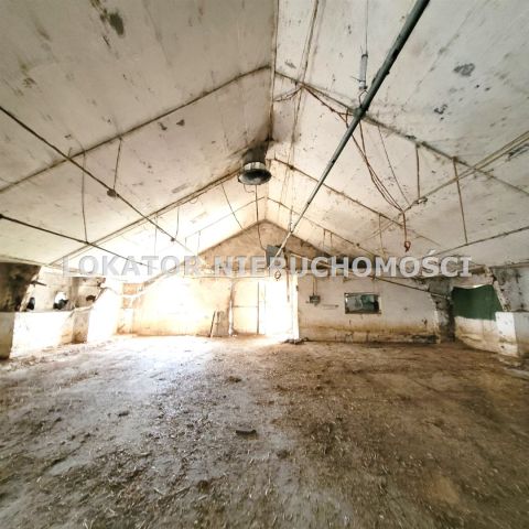 Hala/magazyn Rutwica. Zdjęcie 9