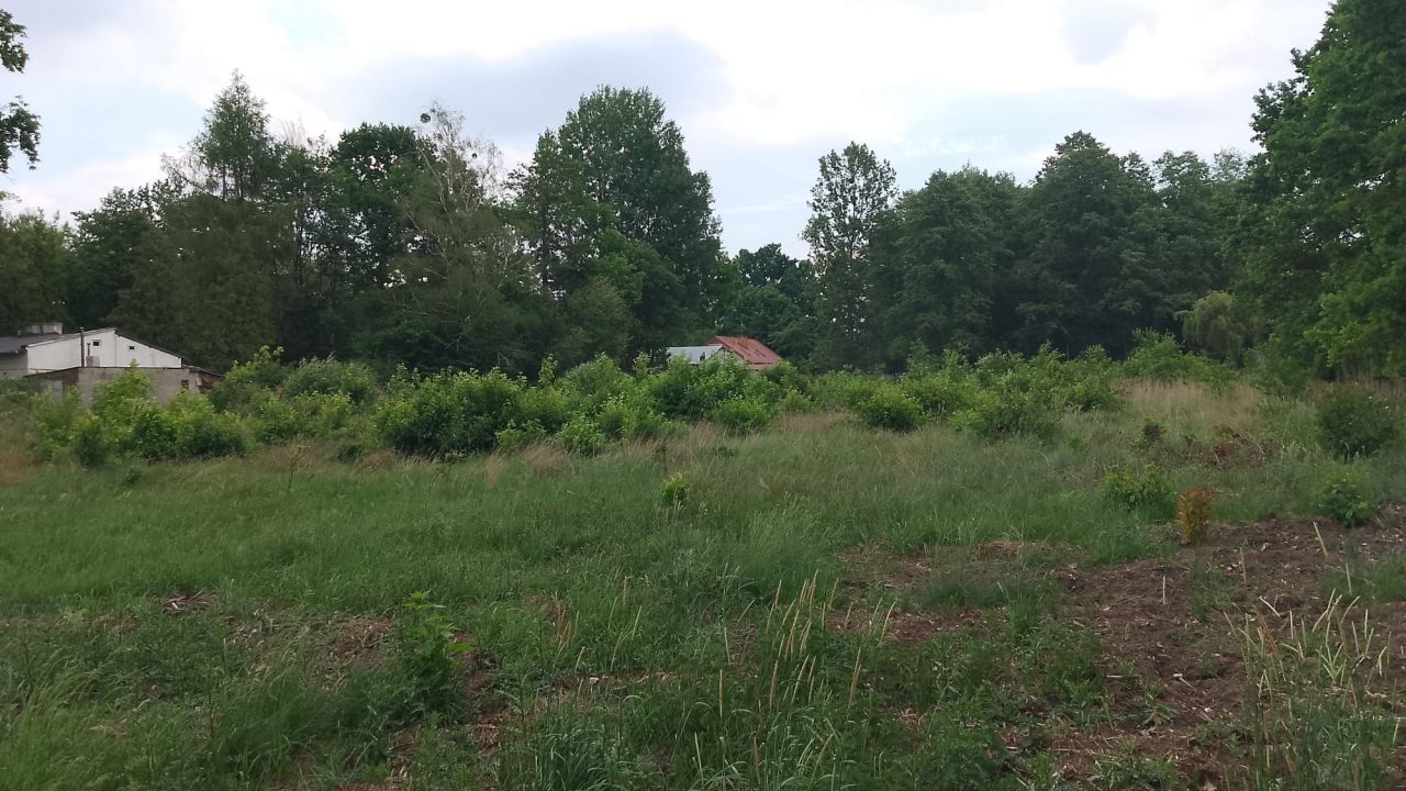 Działka budowlana Milanówek Chrzanów, ul. Pewna. Zdjęcie 4