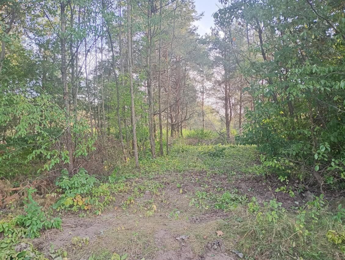 Działka rolno-budowlana Wojnówka. Zdjęcie 4