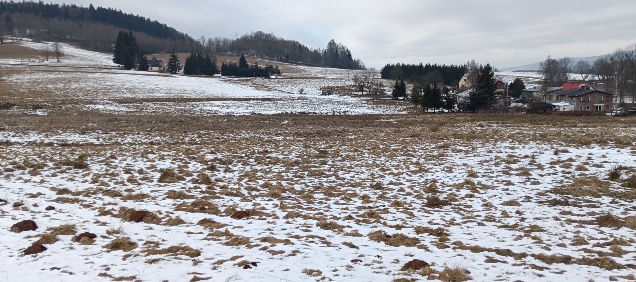 Działka budowlana Dworki. Zdjęcie 3