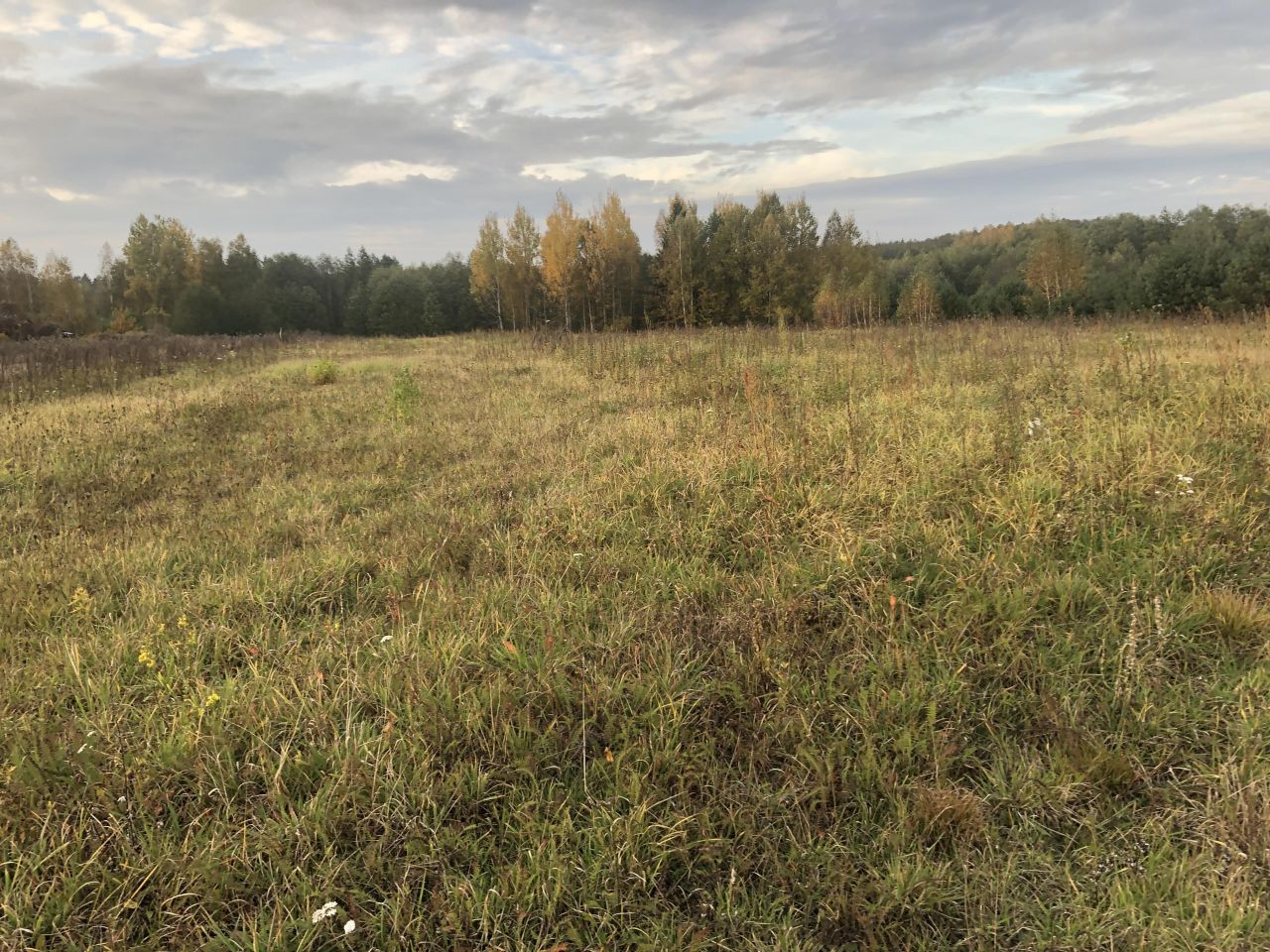 Działka budowlana Niewodnica Nargilewska