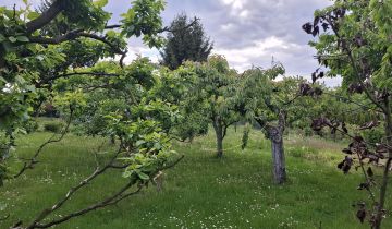 Działka rod Płock Radziwie, ul. Dobrzykowska