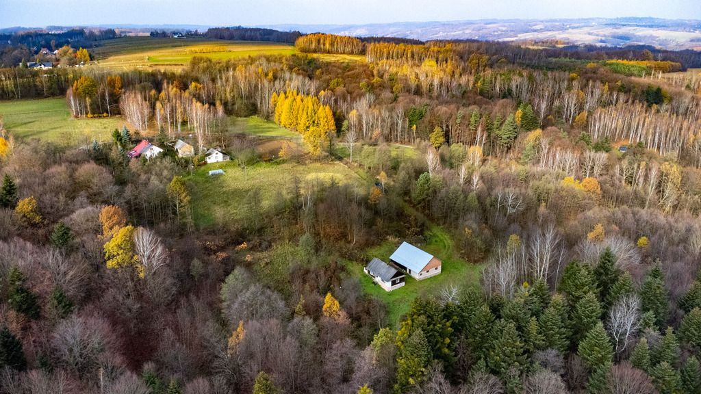 dom wolnostojący, 2 pokoje Borówki. Zdjęcie 9