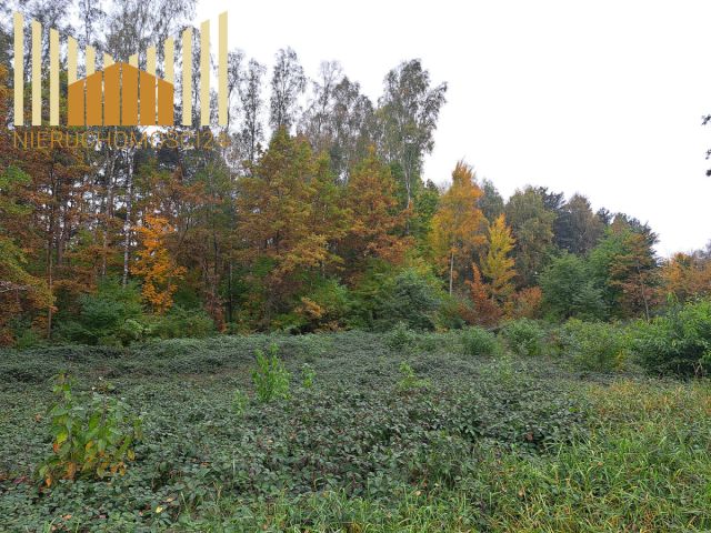 Działka budowlana Cegłów. Zdjęcie 8