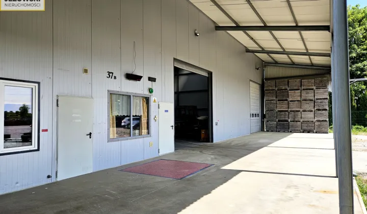 Hala/magazyn Wojciechów