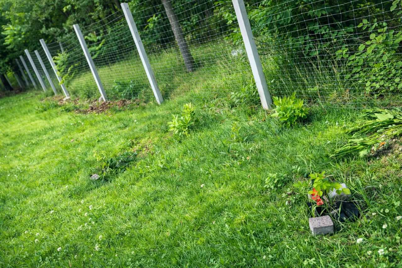 Działka budowlana Chinów. Zdjęcie 8